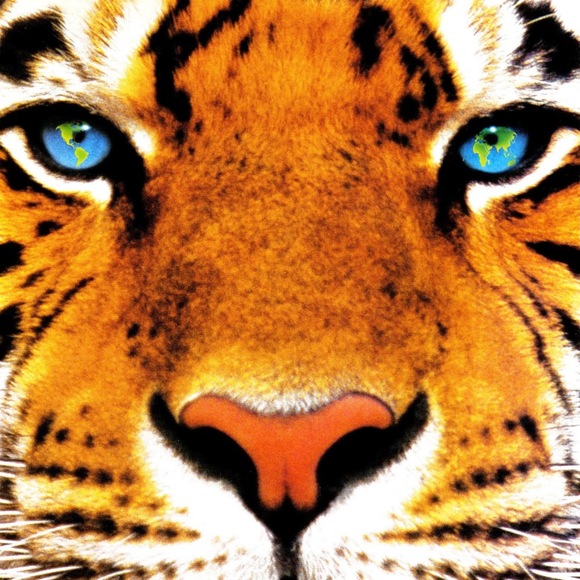 Meet your Posher, Felicia - Picture 1 of 1